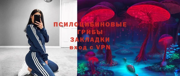 гидра Лабытнанги