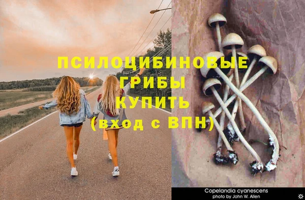 твердый Ладушкин