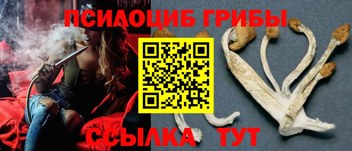Галлюциногенные грибы GOLDEN TEACHER Обнинск