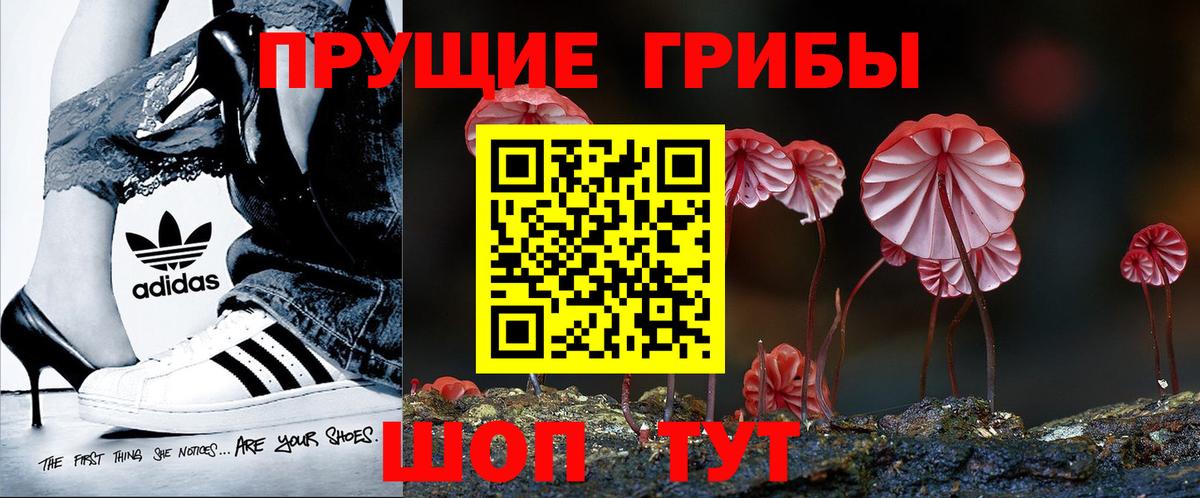 Галлюциногенные грибы прущие грибы  Обнинск 